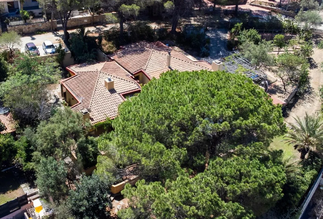 Villa With Large Terrace, Bbq, Wifi, Ac, 2 Parking Spaces Torre delle Stelle